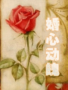 完整版《婚心动魄》免费阅读