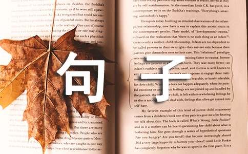 2024年实用的生活感悟的句子摘录66句
