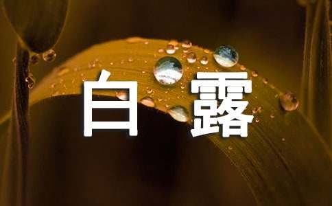 白露祝福问候语