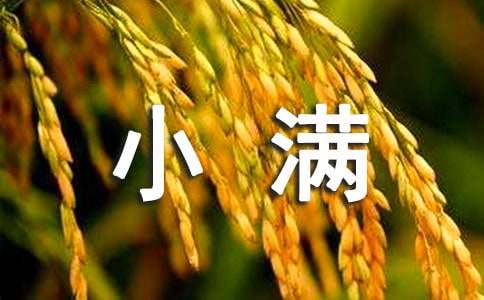 小满经典唯美文案