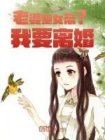 《老婆是女帝？我要离婚》陆凡洛云霄小说在线阅读全文完整版