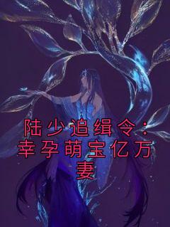 《陆少追缉令：幸孕萌宝亿万妻》南溪陆景深|南溪陆景深小说完结