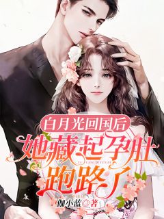 苏又灵厉霆西为主角的小说叫什么名字|苏又灵厉霆西是什么小说里面的主角