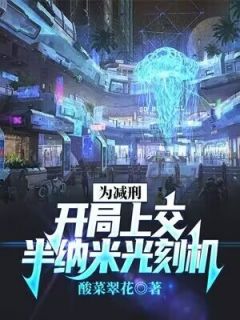 《为减刑，开局上交半纳米光刻机》李红旗任素妃小说精彩内容在线阅读