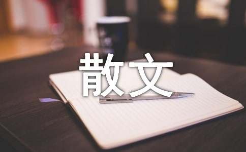 心情随笔散文