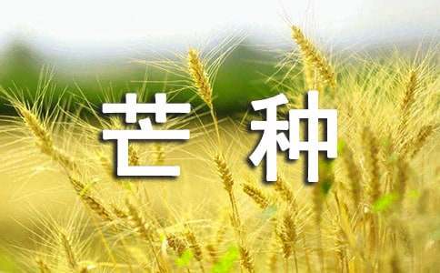 描写芒种的唯美句子（精选500句）