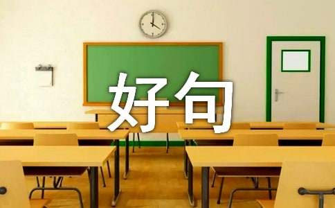 (优选)作文好句摘抄