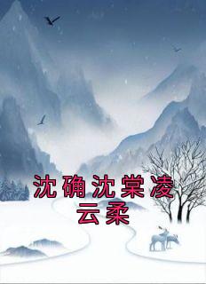 《沈确沈棠凌云柔》凌云柔沈确沈棠章节目录在线试读