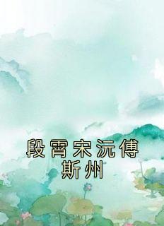 段霄宋沅傅斯州是哪本小说主角|主角是段霄宋沅傅斯州的小说免费阅读