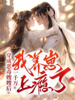 《穿成恶毒嫂嫂后，我养崽上瘾了》沈妤欢景栩章节列表精彩阅读