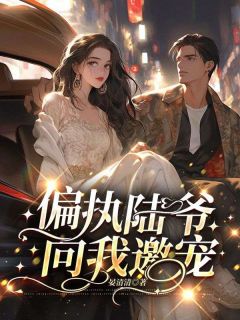 温宁陆晏辞小说主角|小说主角名叫温宁陆晏辞