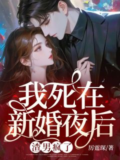 苏菀陆时晏是哪部小说的主角|主角是苏菀陆时晏的小说免费阅读