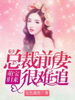 萌娃归来：总裁前妻很难追云暮锦叶墨修免费阅读|萌娃归来：总裁前妻很难追七色篱笆