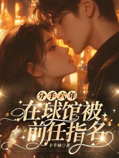 主角林心洛段亦枫的小说名字|《分手六年，在球馆被前任指名》小说结局