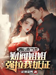 林景苏婉小说无删节|《酒后喜当爹，财阀姐姐强拉我扯证》小说目录在线阅读