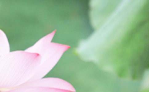 夏至吉祥话（精选300句）