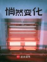 悄然变化的小说男女主许世彦苏安瑛完结版阅读