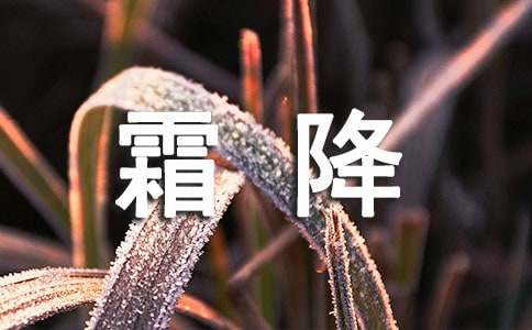 霜降的唯美句子