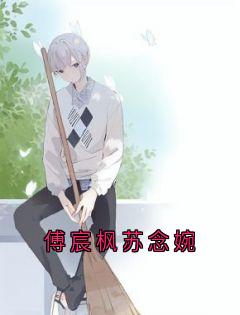 《傅宸枫苏念婉》小说完结版精彩试读|苏念婉傅宸枫小说全文