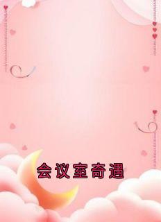 《会议室奇遇》小说精彩阅读|宋维程何李茹娇完结版