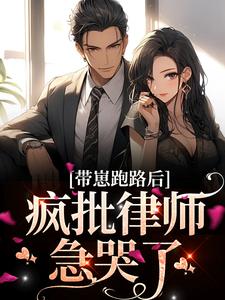 主角方棠沈丛南的小说名字|《带崽跑路后，疯批律师急哭了》小说目录在线阅读