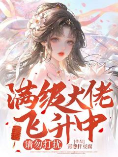 《满级大佬飞升中，请勿打扰》全文精彩章节在线阅读（林予鹿黎青）