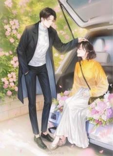 小媛裴历书小说|《老公骗我女儿脑死亡》小说全文精彩阅读