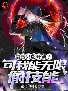 小说《盗贼只能开锁？可我能无限偷技能》风九元凤全文免费阅读