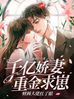 《千亿娇妻重金求崽？财阀大佬红了眼！》小说大结局精彩阅读|沈烟季寒川小说阅读