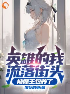 英雄的我流落街头，被魔王包养了完整版全文免费阅读