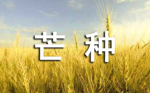 适合芒种节气发的朋友圈句子