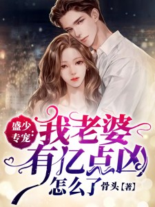 《盛少专宠：我老婆有亿点凶怎么了》小说大结局免费试读|易柒染盛君御小说阅读