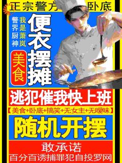 萧岚韩小媚《我一厨师便衣，抓***逃犯很合理吧》全文及大结局精彩试读
