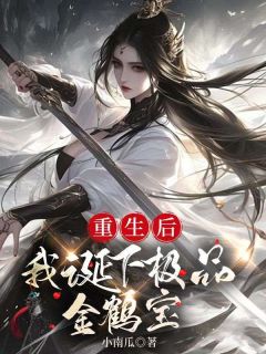 白逸尘贺娉娉小说结局|《重生后，我诞下极品金鹤宝》无错版
