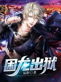 《困龙出狱》苏牧慕婉青|《困龙出狱》小说目录在线阅读