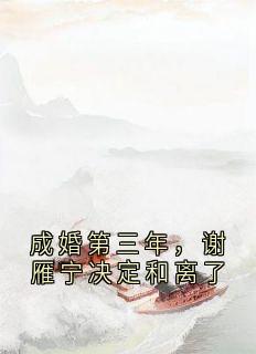 《成婚第三年，谢雁宁决定和离了》无错版|谢雁宁顾长卿小说全文