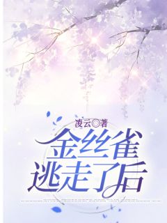 《金丝雀逃走了后，他发疯了》小说章节目录免费试读|沈青萧泽小说阅读