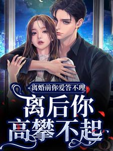 《离婚前你爱答不理，离后你高攀不起》无错版|林舒傅明诚小说结局