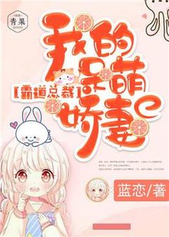 小说霸道总裁：我的呆萌***沈星辰苏婷最新版阅读