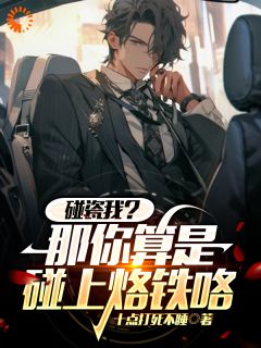 碰瓷我？那你算是碰上烙铁咯！小说|苏幕大牛全文目录
