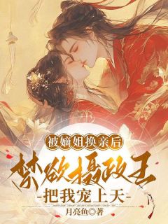 被嫡姐换亲后，禁欲摄政王把我宠上天小说免费阅读|叶时安宇文宥小说大结局在线阅读