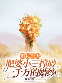 杨青青陆炎小说主角|杨青青陆炎为主角的小说叫什么名字