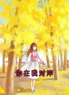 你在我对岸免费阅读(夏添季斯琰小说全本资源)|无广告