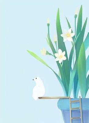 《我把婚礼让给他和他的小师妹》小说精彩阅读|林溪江辰礼小说已完结