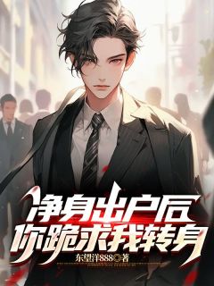 叶辰苏清影小说结局|《净身出户后，你跪求我转身》精彩阅读