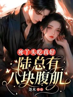 林晚陆瑾小说无广告|《死丫头吃真好，陆总有八块腹肌！》无广告阅读