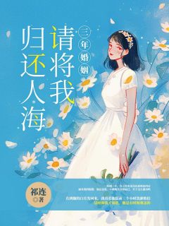 三年婚姻，请将我归还人海小说之洛许之年全本章节阅读