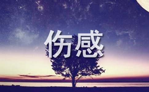 常用伤感个性句子集锦35条