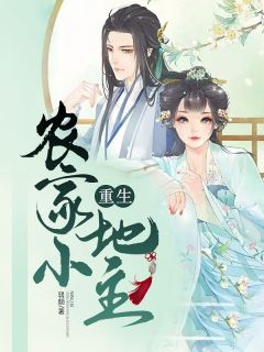 宋淑媛沈念是什么小说里面的主角|主角宋淑媛沈念小说免费阅读