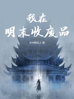《我在明末收废品》小说大结局免费试读|林毅安安小说全文